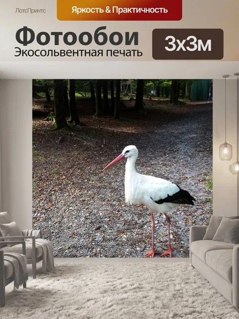 Фотообои Аист