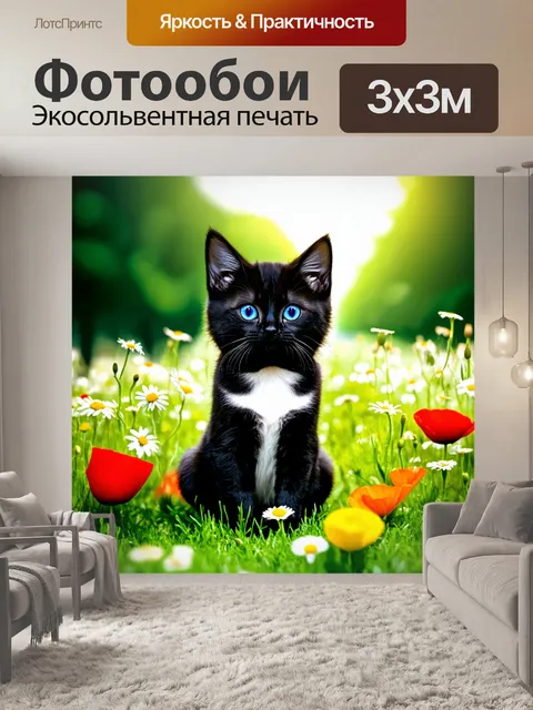 Фотообои Черный котенок с белой грудкой и ярко-голубыми глазами
