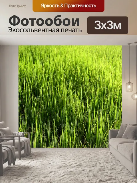 Фотообои Зеленое рисовое поле