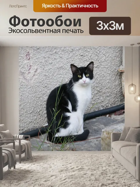 Фотообои Кошка
