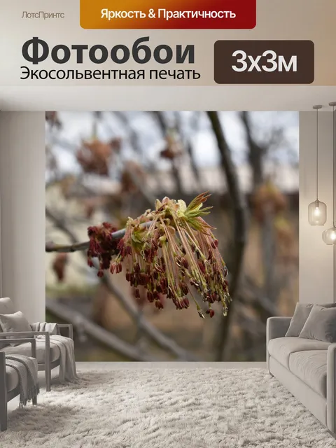 Фотообои Весна