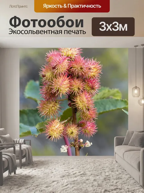 Фотообои Цветы