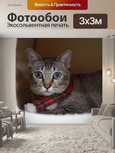 Фотообои Животное