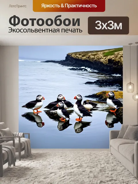 Фотообои группа тупиков, собирающихся на стыке скал и моря, с зефирными облаками, отражающимися в воде