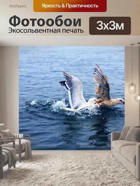 Фотообои Чайка