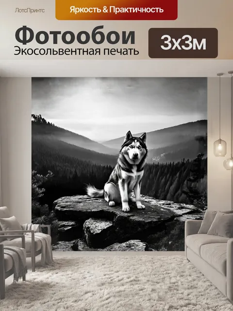 Фотообои хаски, сидящий на вершине скалистого обрыва, с видом, открывающимся на бескрайний лес