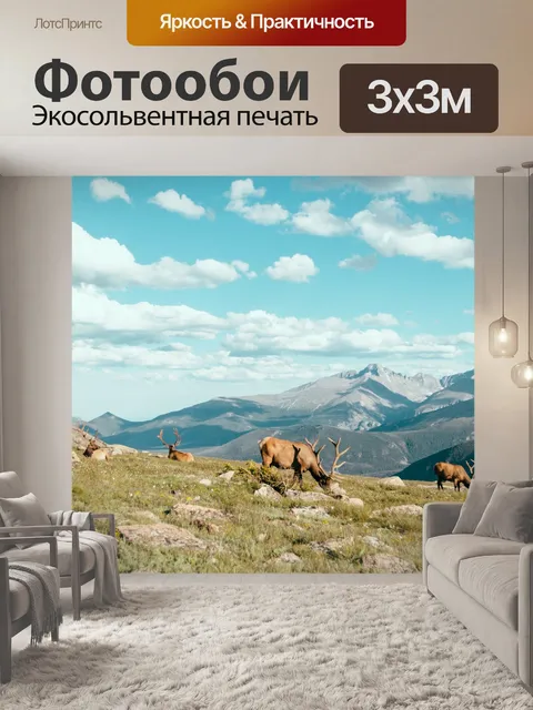 Фотообои Нагорье