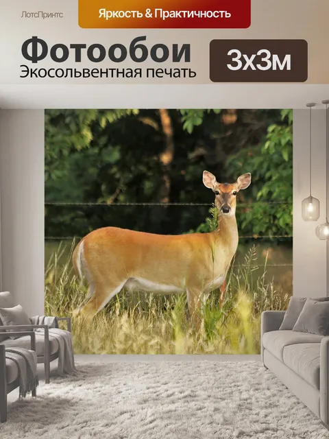 Фотообои Белоголовый олень в полете Крупный план