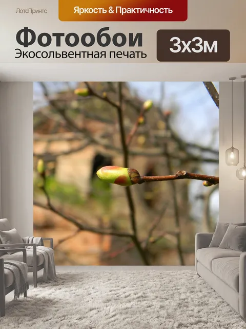 Фотообои Весна