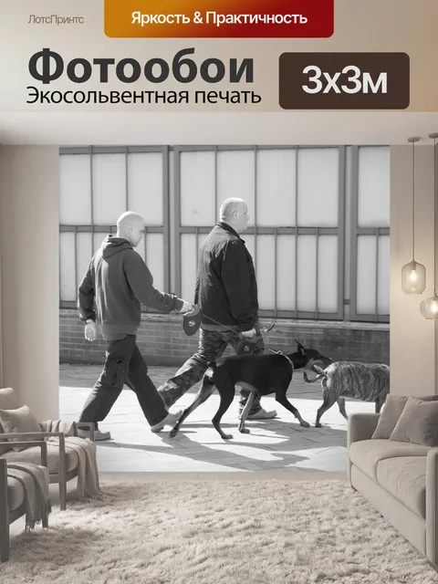 Фотообои Выгул собак