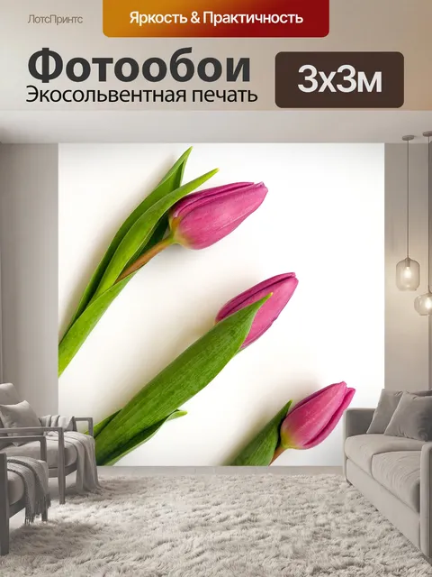 Фотообои Тюльпаны