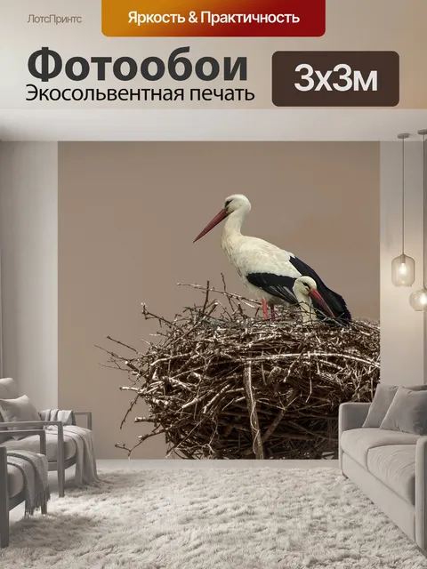 Фотообои Птица