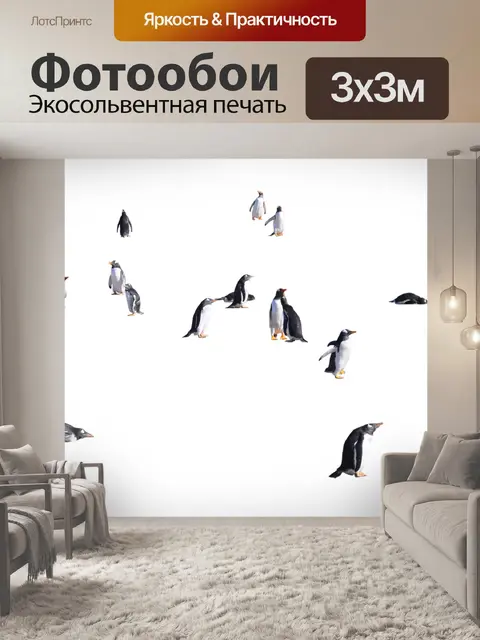 Фотообои Пингвины