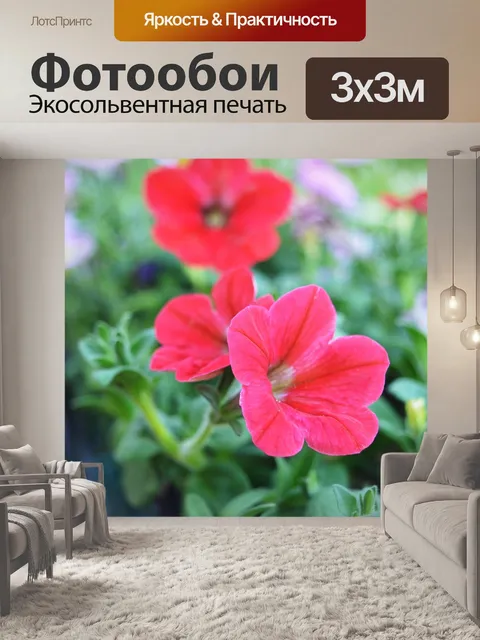 Фотообои Цветы