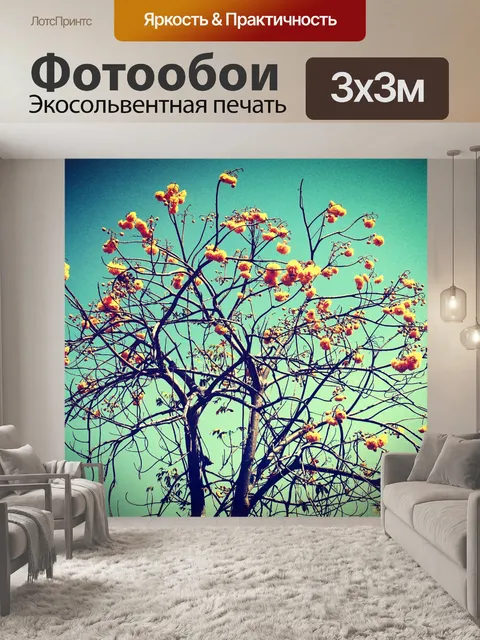 Фотообои Красивый цветок