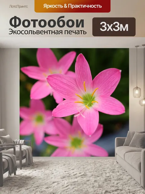 Фотообои Четыре розовые цветы