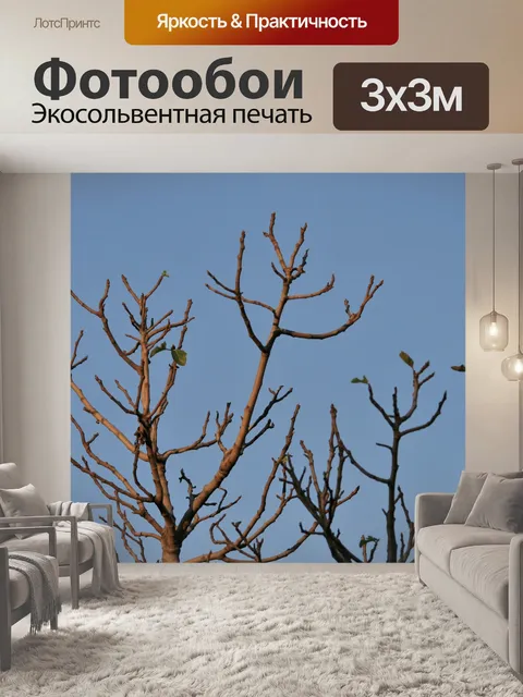 Фотообои смоковница лучших в ВС