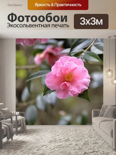 Фотообои Цветочные и лепестки роз