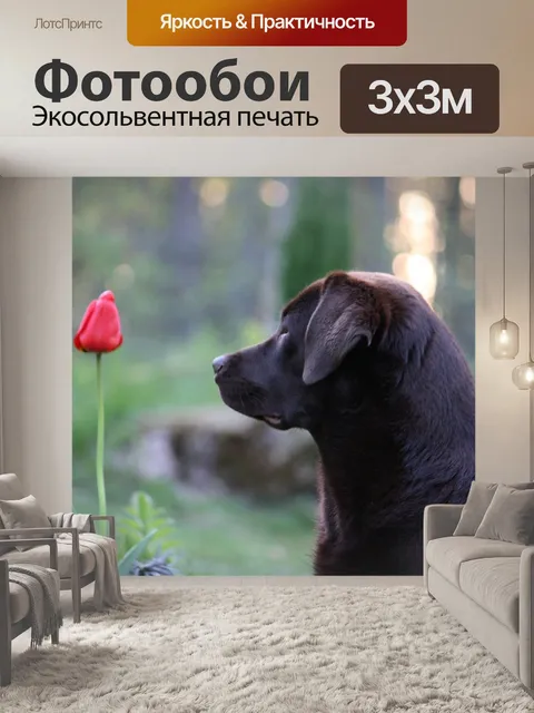 Фотообои Собака
