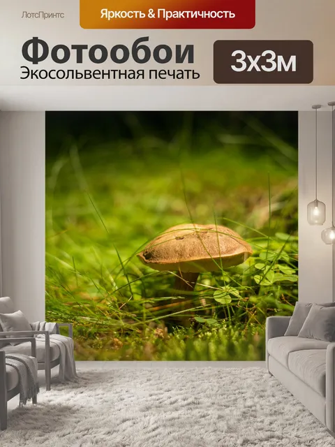 Фотообои Грибы в траве