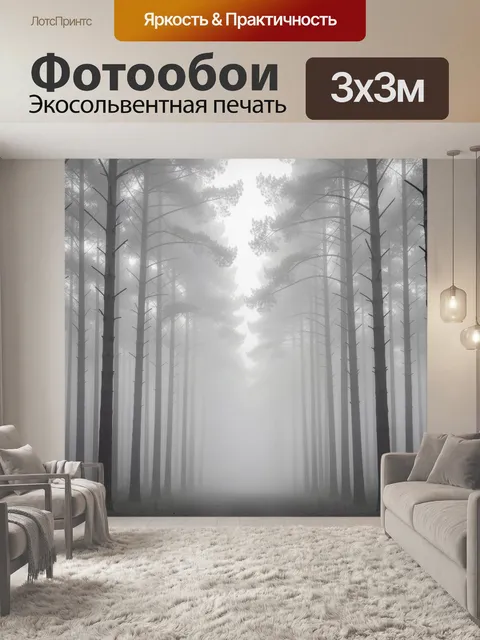 Фотообои Туманный сосновый лес