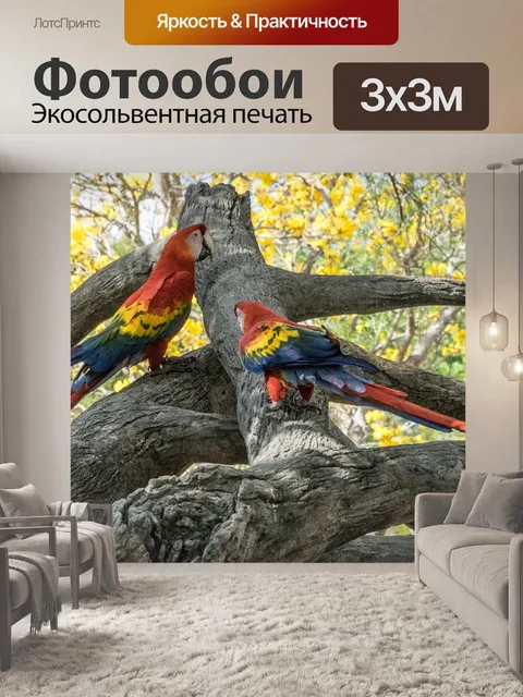 Фотообои Птица