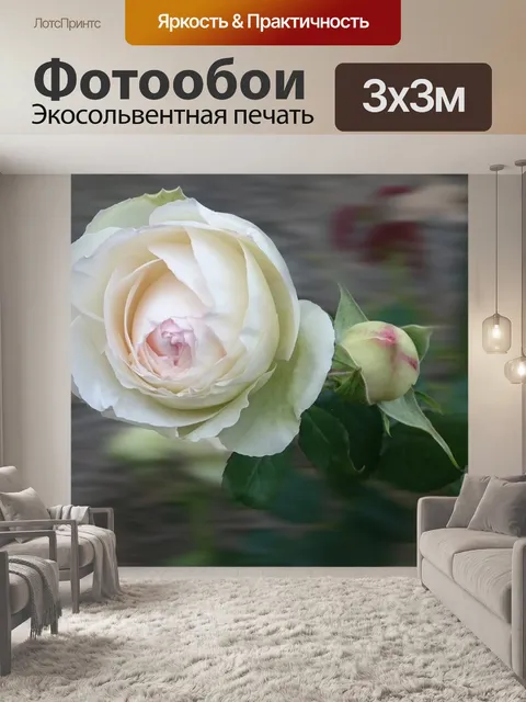 Фотообои Цветок