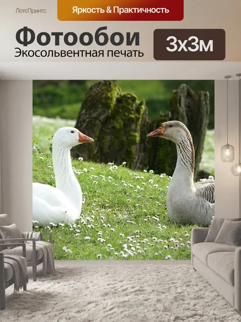 Фотообои Гусь