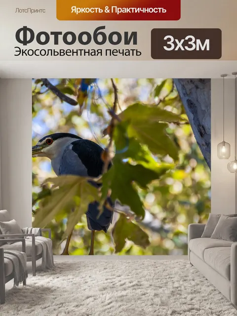 Фотообои Ночная цапля