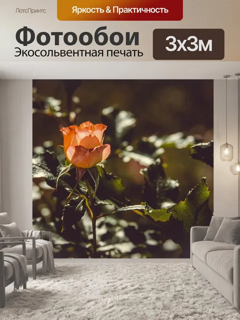 Фотообои Роза