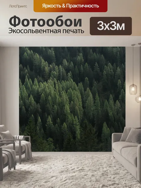 Фотообои Лес
