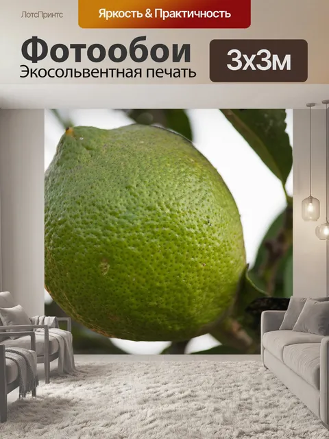 Фотообои Зеленый лимон на дереве