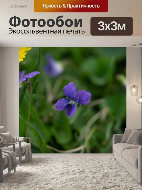 Фотообои Одуванчик