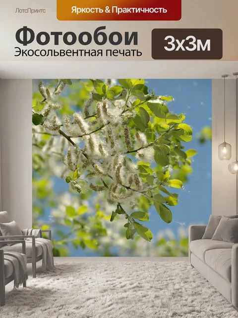Фотообои Тополь