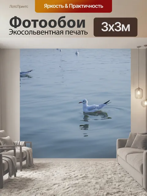 Фотообои Чайки
