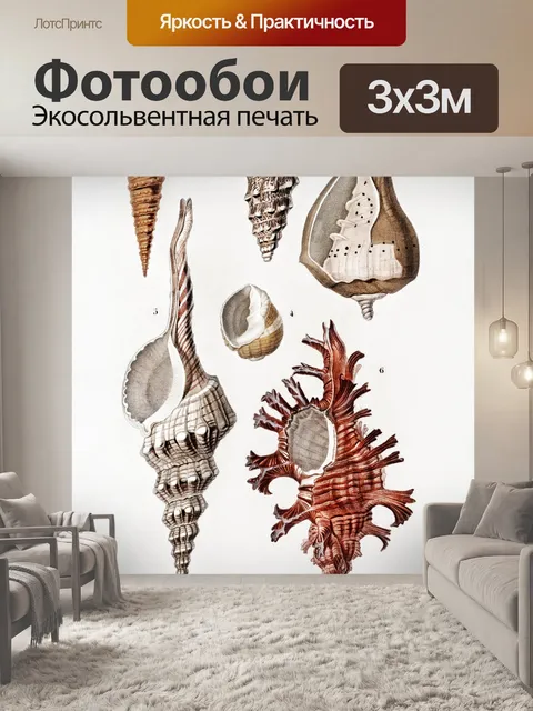 Фотообои Ракушки улитка винтажное искусство