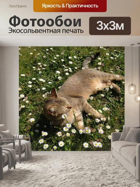 Фотообои Кошка