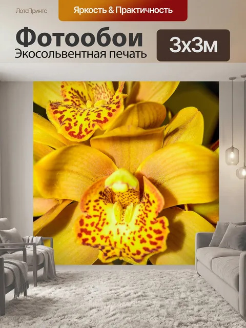 Фотообои Цветок орхидеи