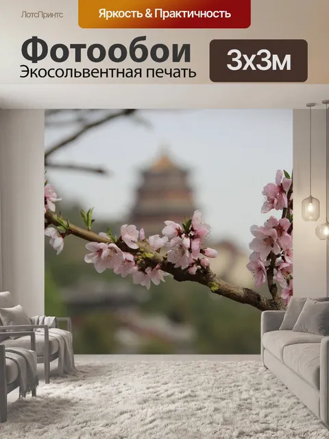 Фотообои Сакура