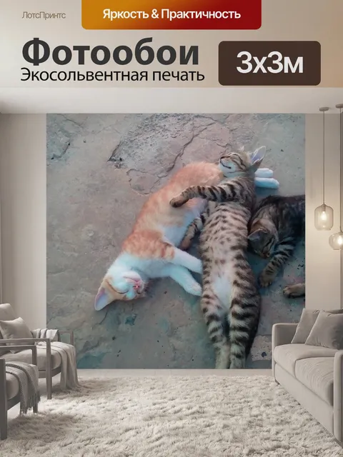 Фотообои Мои милые кошки