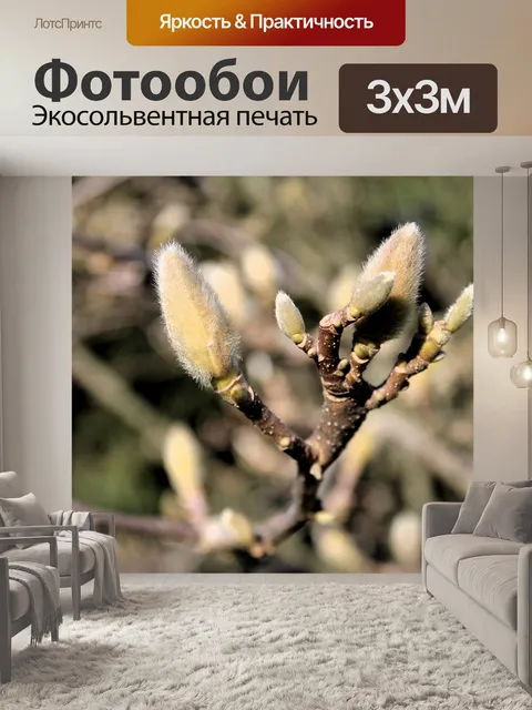 Фотообои Драгоценные камни