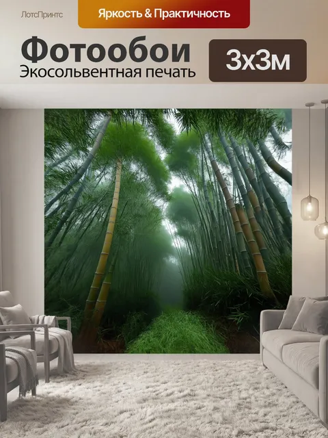 Фотообои бамбуковый лес в утреннем тумане