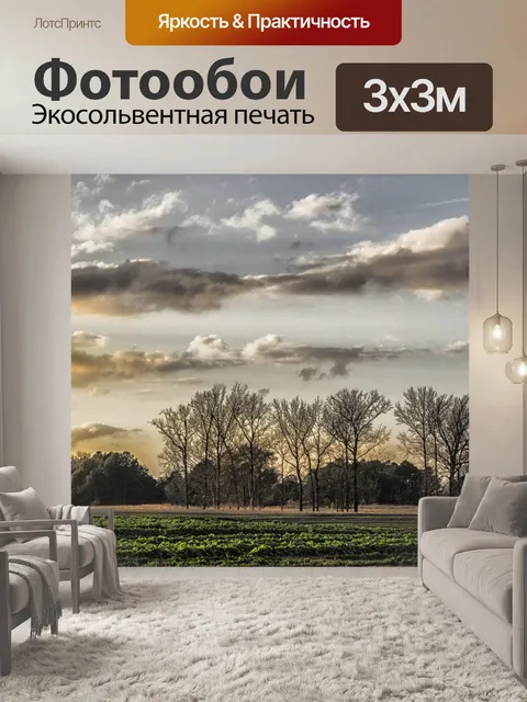 Фотообои Вечер