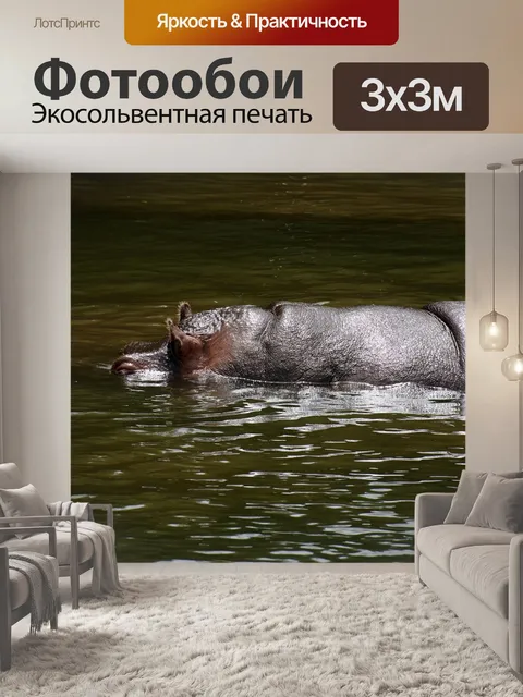Фотообои Животное