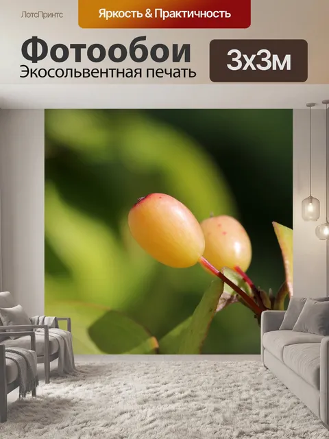 Фотообои Осень