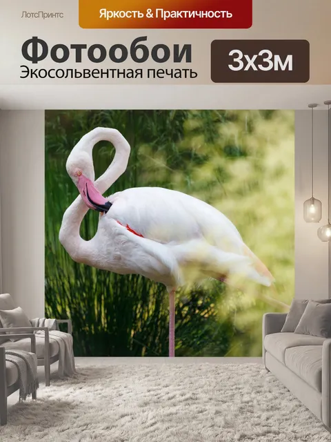 Фотообои Фламинго