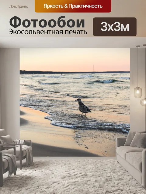 Фотообои Серебристой чайки