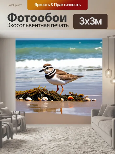 Фотообои птичка, исследующая океанский пляж, собирая ракушки и обрывки водорослей, свежий морской ветер