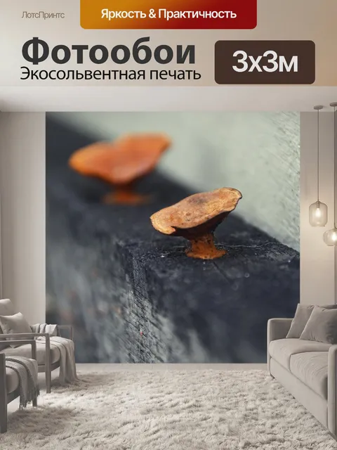 Фотообои Гриб