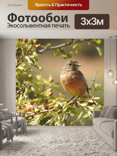 Фотообои Птицы
